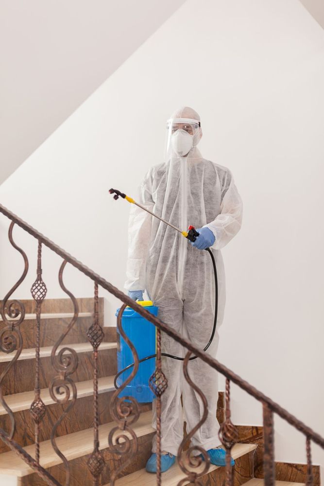 Umfassende Schimmelbeseitigung für Ihr Zuhause in Herne